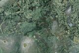 Polished Moss Agate Cabochon - Indonesia #228453-1